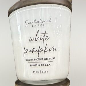 Scentsational White Pumpkin Candle 11oz